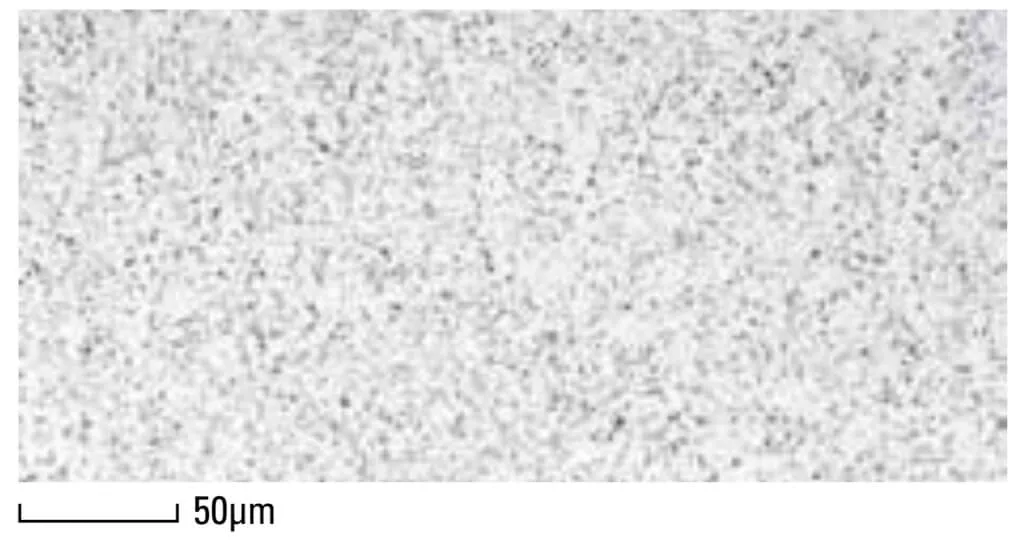 Mikrostruktur des Matrix-Warmarbeitsschnellstahls DRM1 im Stabzentrum Ø 100mm