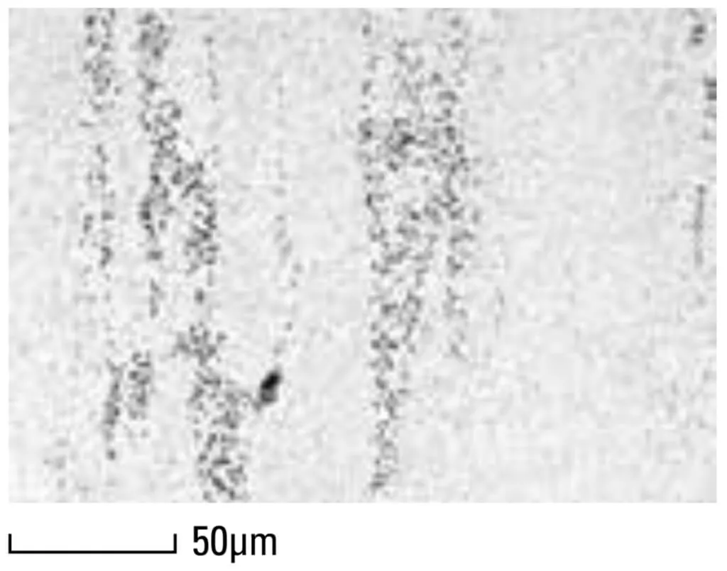 Mikrostruktur des Matrix-Warmarbeitsschnellstahls DRM3 im Stabzentrum Ø 100mm